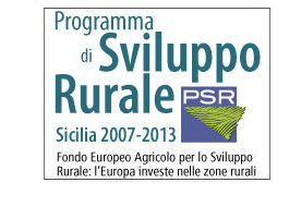 PSR 2007-2013