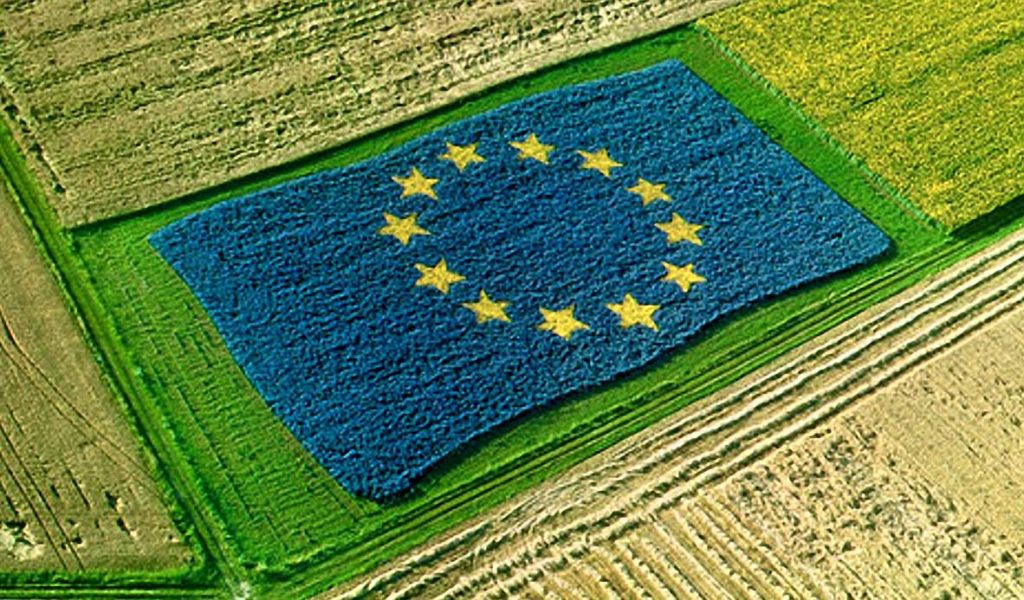 Bandiera Unione Europea